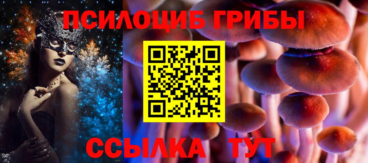 Камень-на-Оби  Галлюциногенные грибы Magic Shrooms  Галлюциногенные грибы Psilocybe  Вход с VPN 