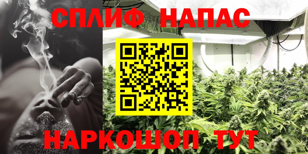 Конопля марихуана Камень-на-Оби
